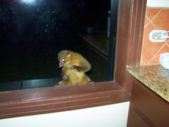 Ok, I\'ll try another window