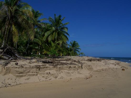 punta uva beach