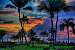 Palms Sunset